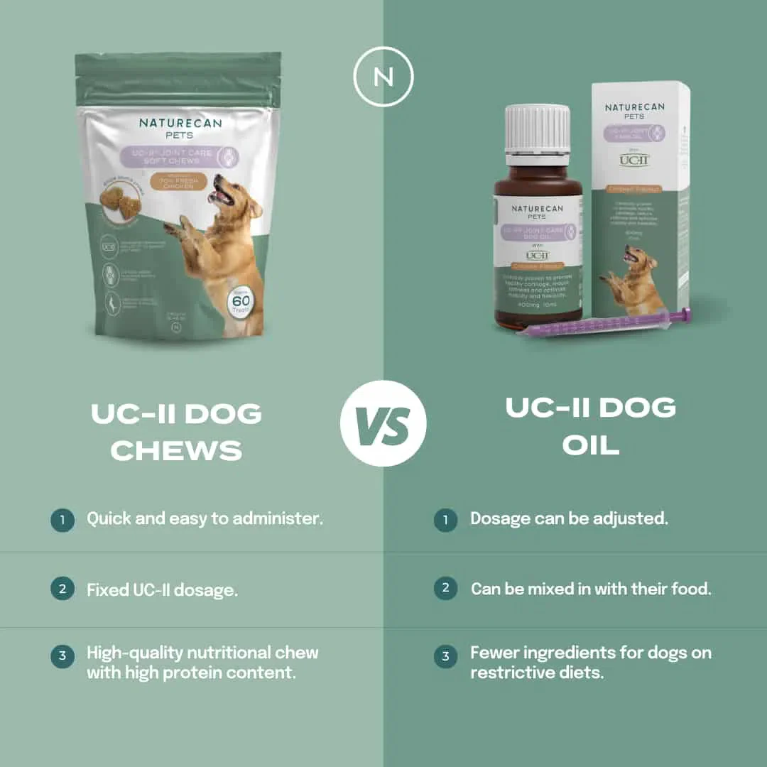 Aceite UC-II para perros (cuidado de las articulaciones) - Image 4