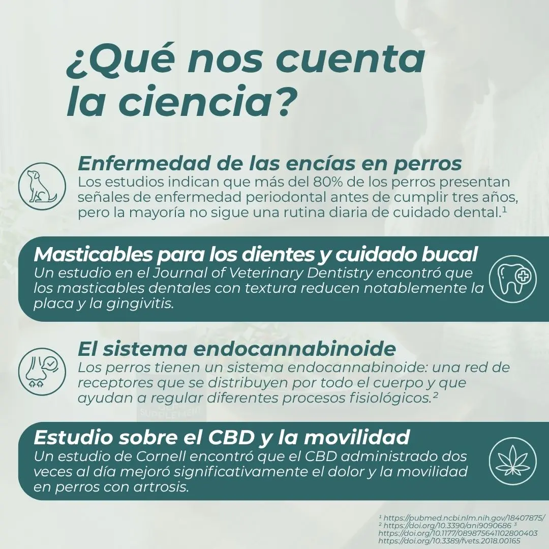 Barritas dentales con CBD para perros - Image 4