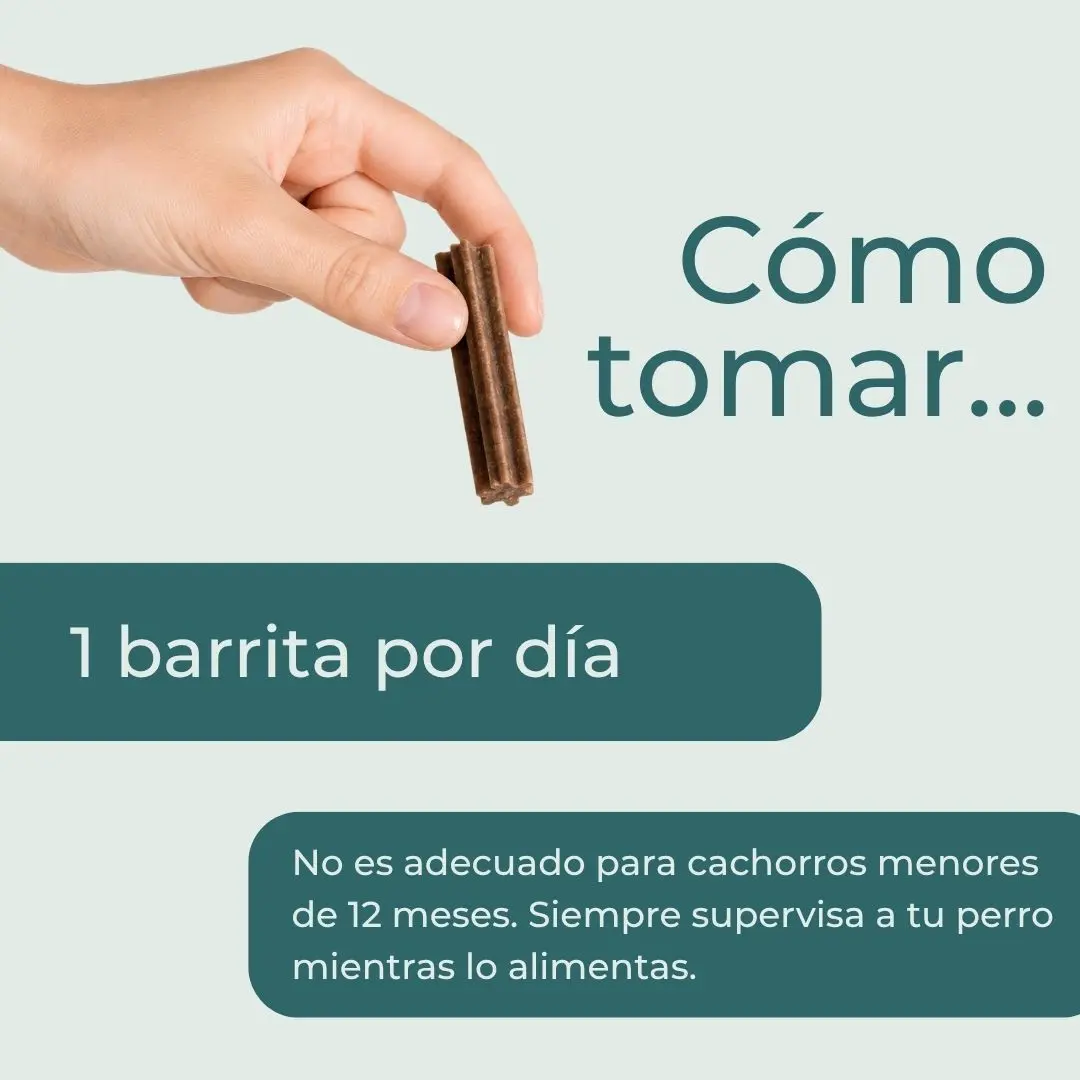 Barritas dentales con CBD para perros - Image 5
