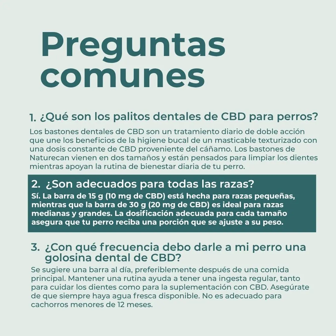 Barritas dentales con CBD para perros - Image 7