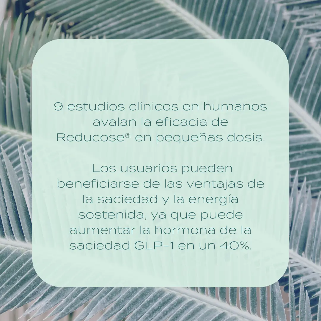 Cápsulas de apoyo a la glucosa - Reducose - Image 6