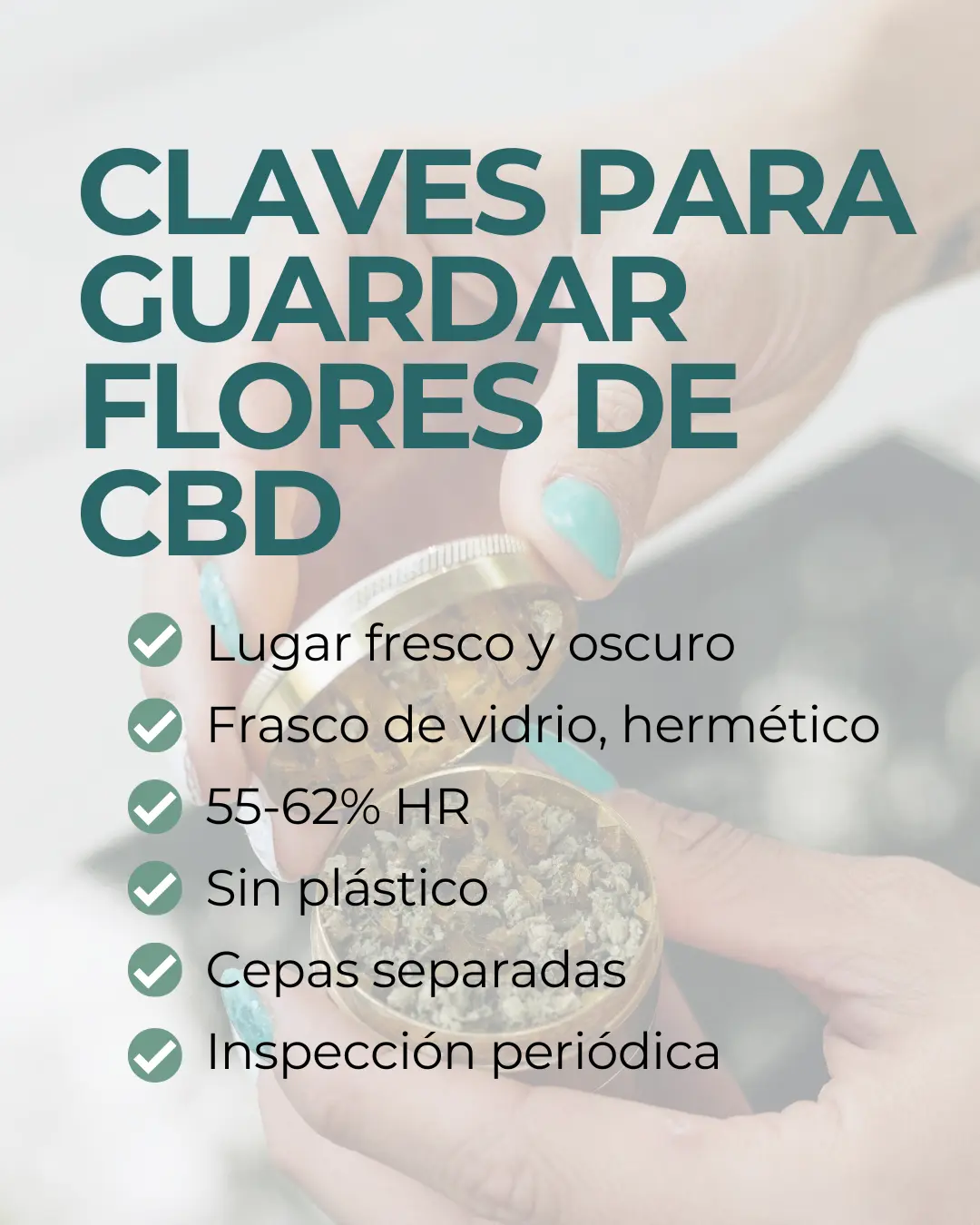 Flor de CBD Lifter - Image 11