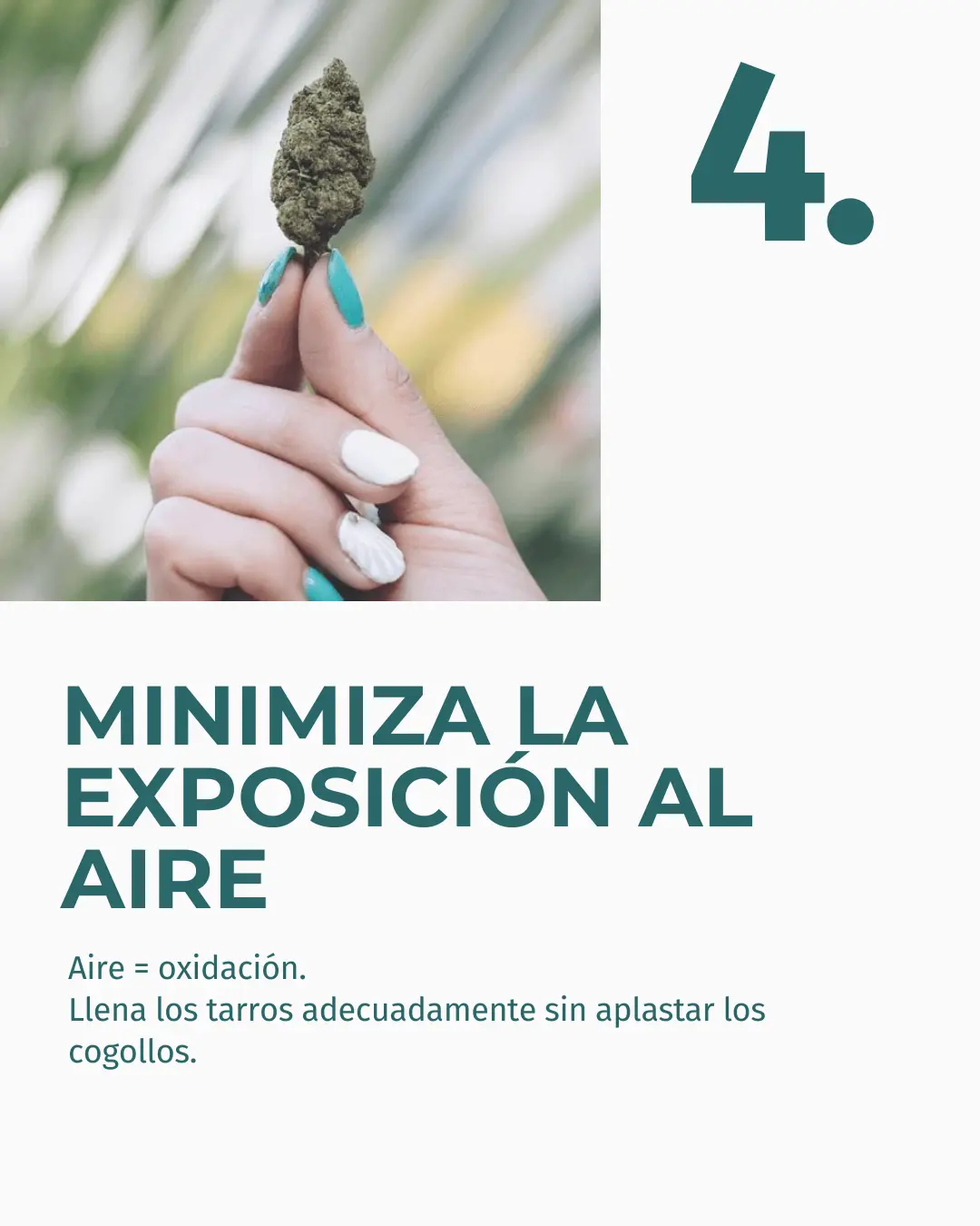 Flor de CBD Lifter - Image 6