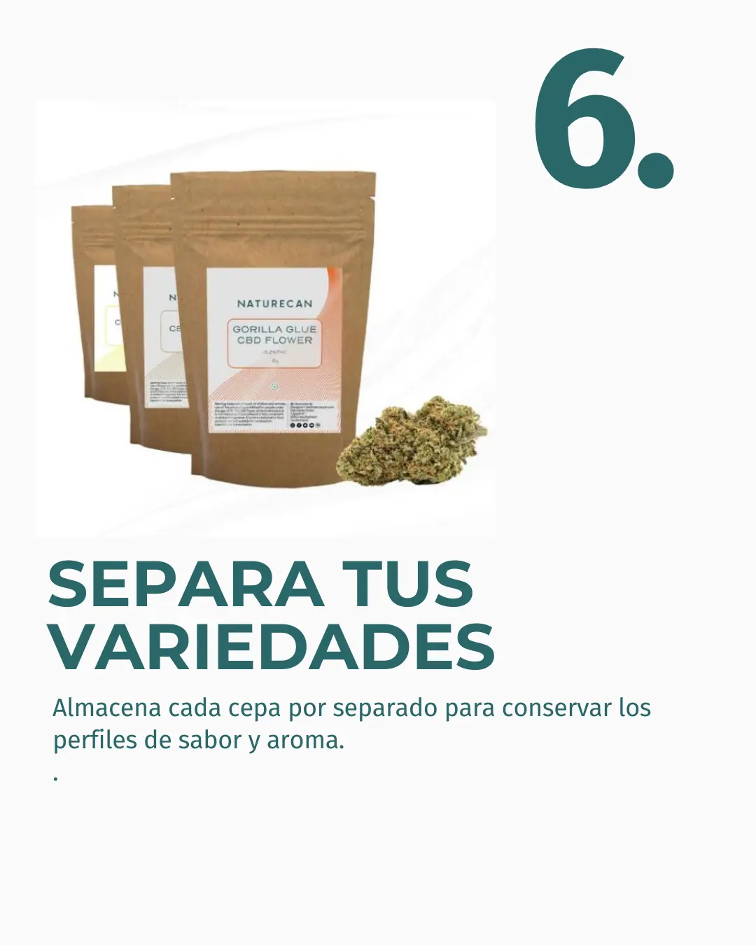 Flor de CBD Lifter - Image 8