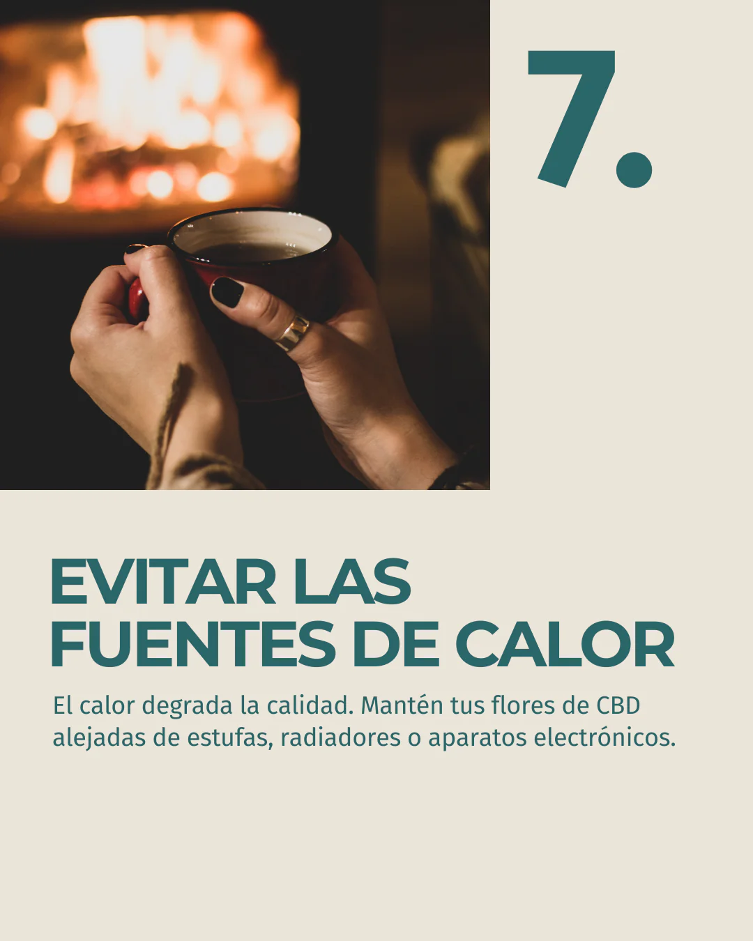Flor de CBD Lifter - Image 9