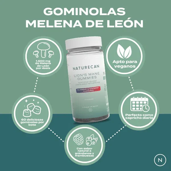 Gominolas melena de león - Image 4
