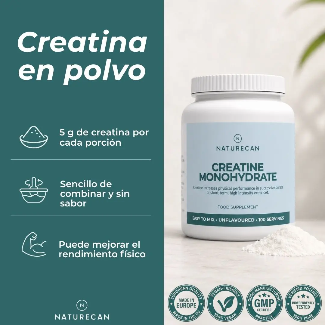 Monohidrato de Creatina - Image 3