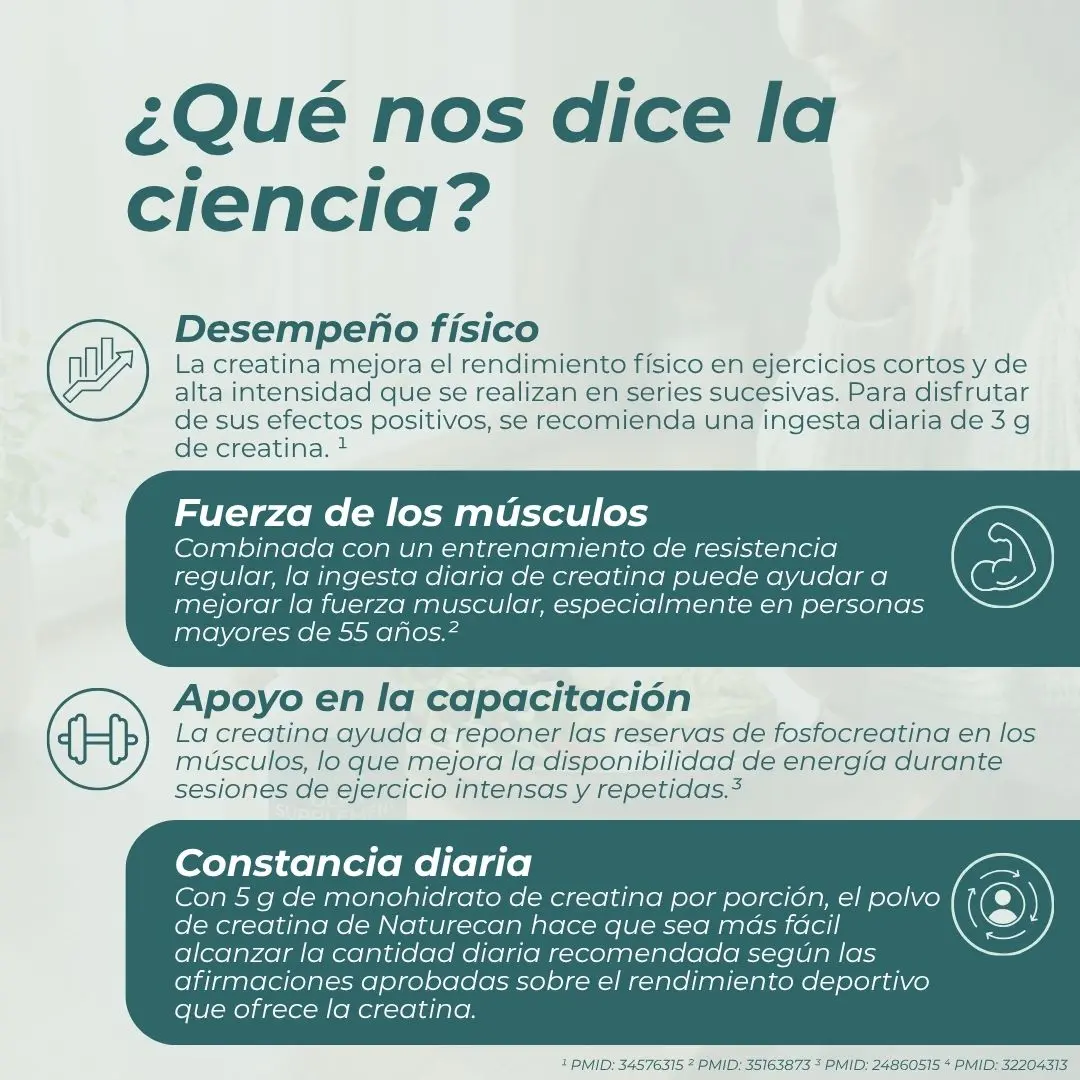 Monohidrato de Creatina - Image 4