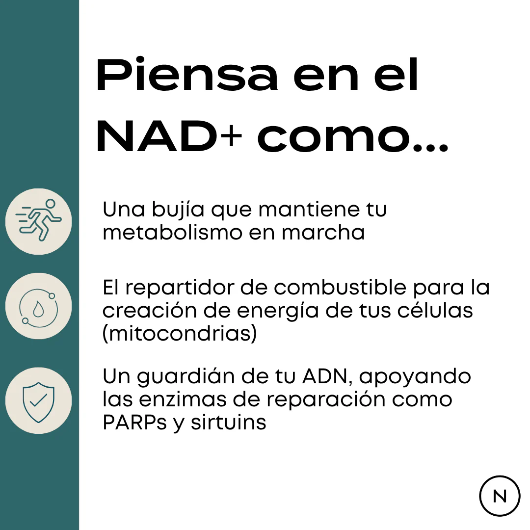 NMN en polvo - Image 4