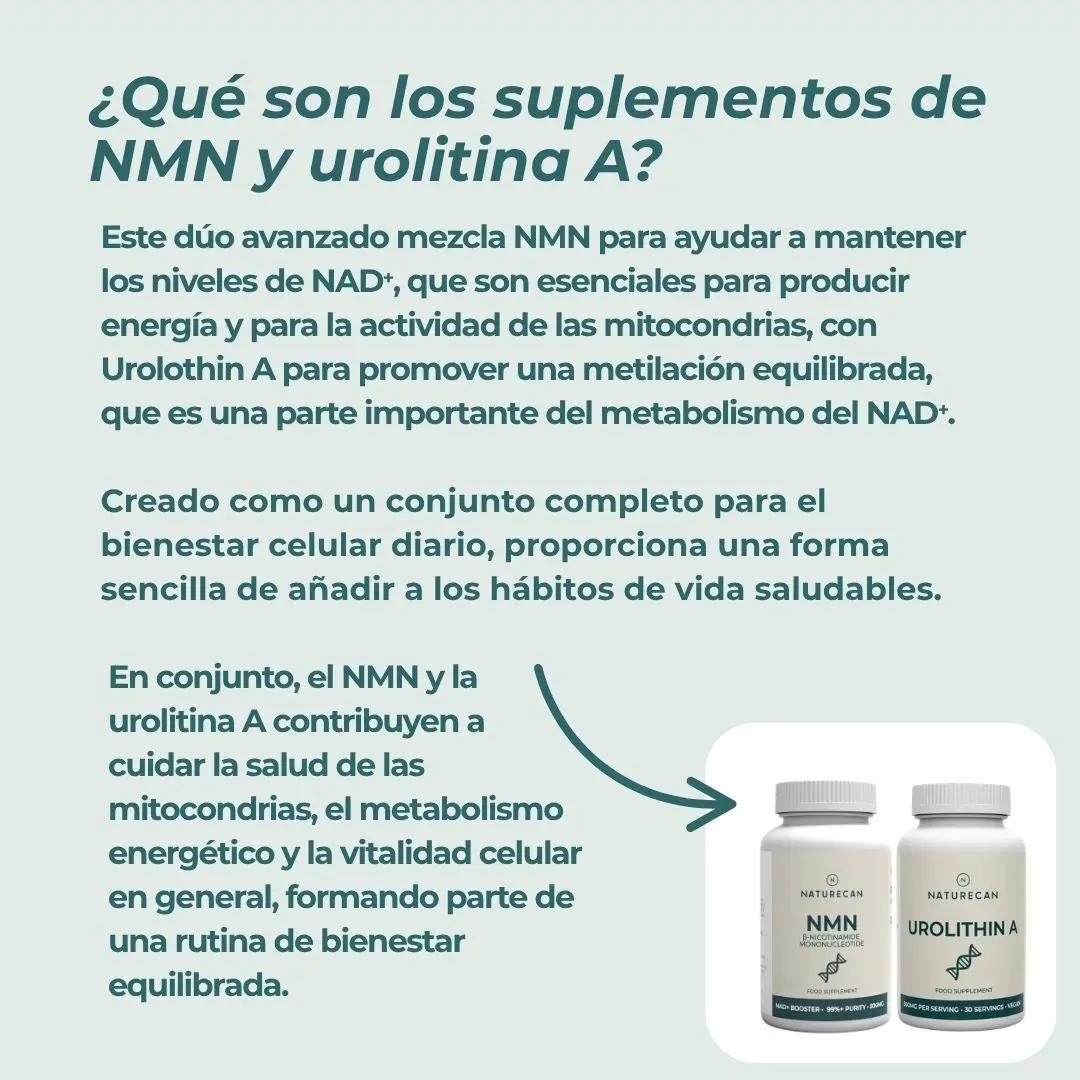 Pack Salud Mitocondrial - Image 3
