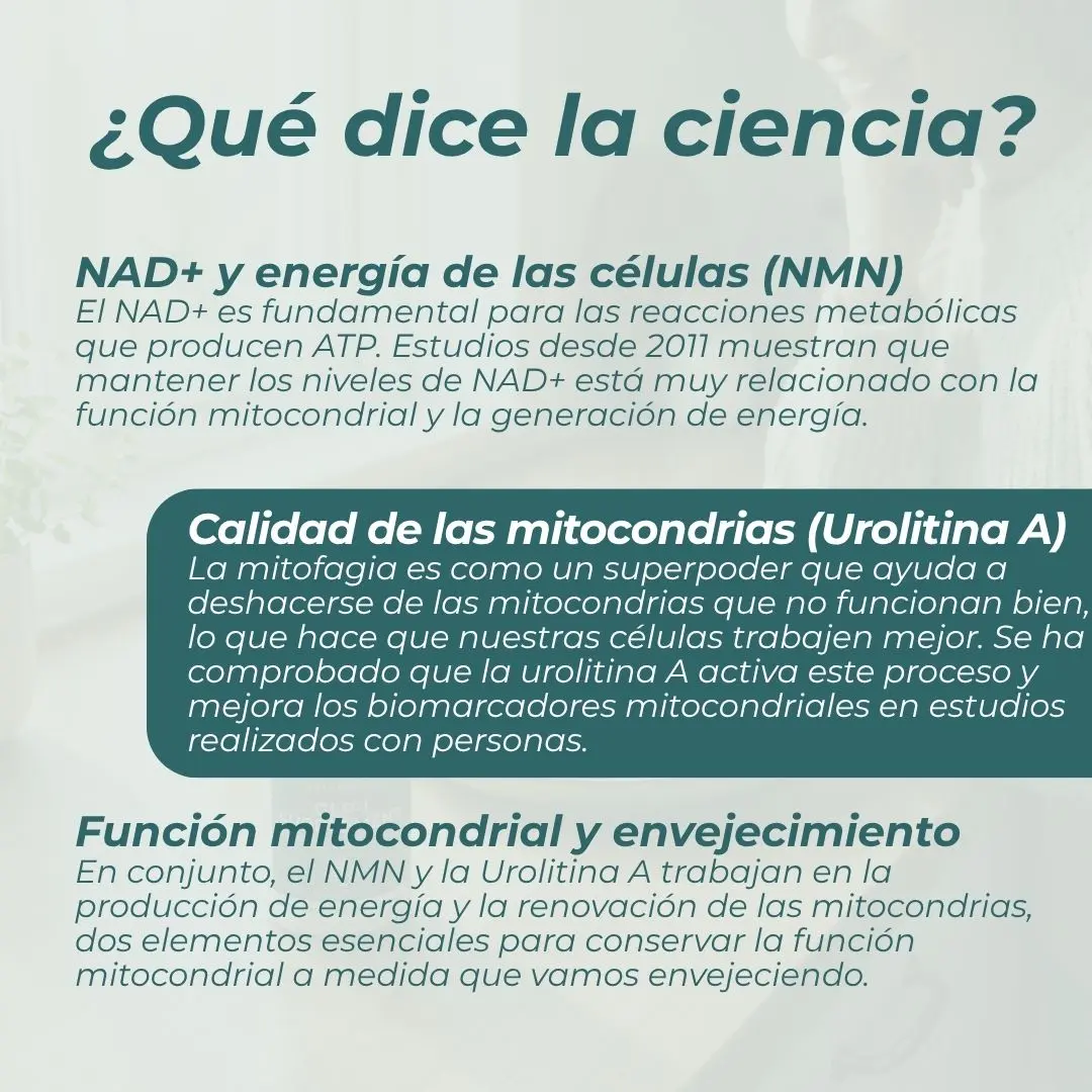 Pack Salud Mitocondrial - Image 4