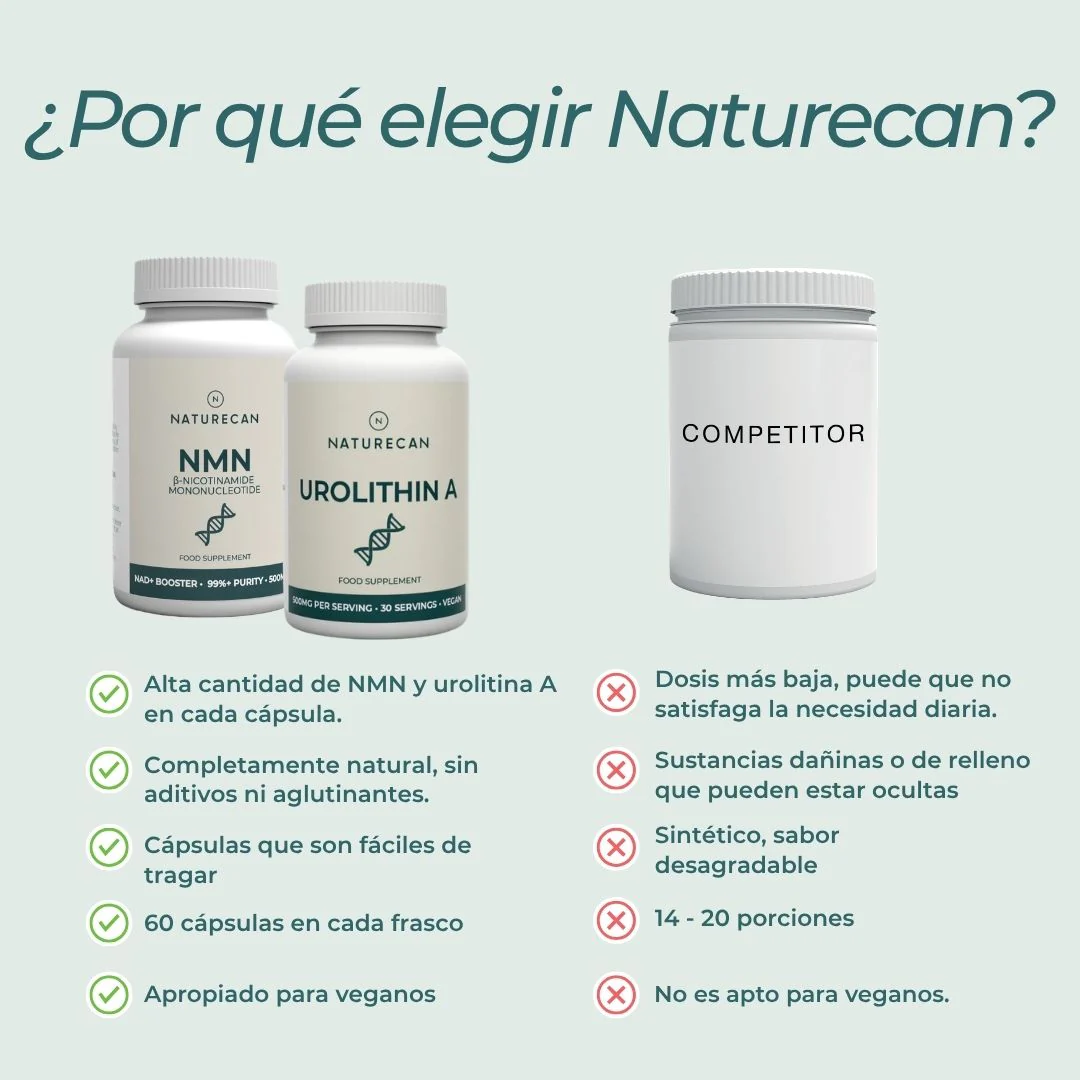 Pack Salud Mitocondrial - Image 6