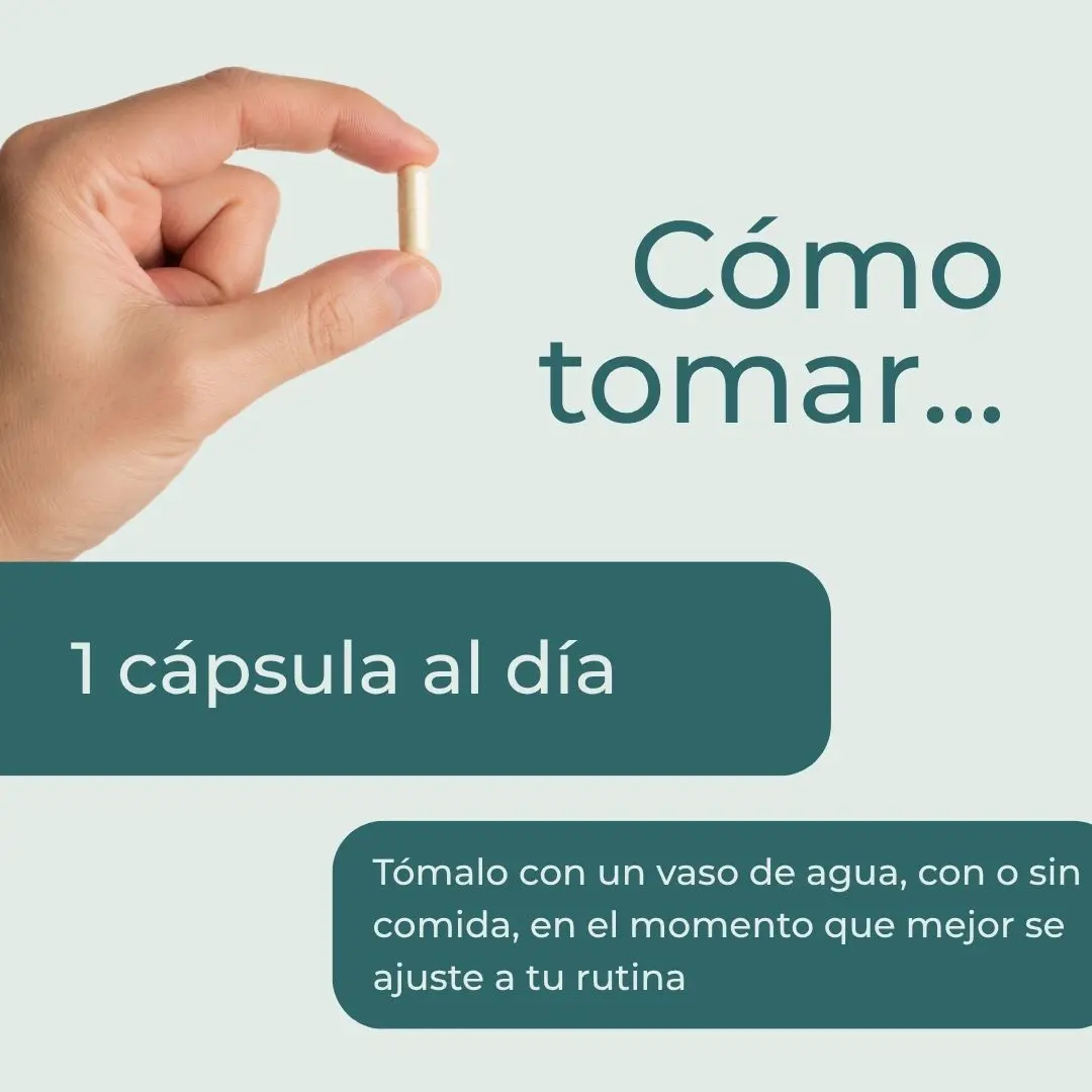 Suplemento de zinc - Image 4