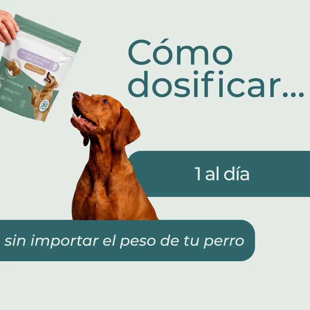 Masticables UC-II para perros (cuidado de las articulaciones) - Image 3
